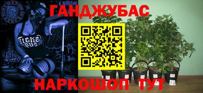 Альфа ПВП Тула